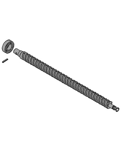 Винт ходовой AX5024, AX71230 Came 119RID320 в Находке Запчасти для шлагбаумов и автоматики Pintop.ru