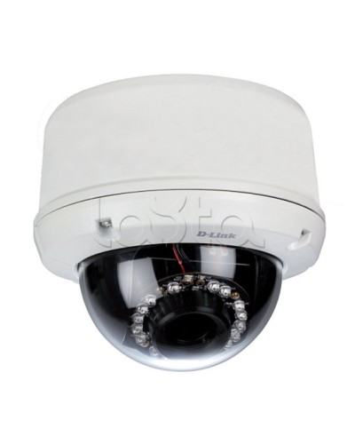 IP-камера видеонаблюдения уличная купольная D-Link DCS-6510/EP в Находке IP-камеры Pintop.ru