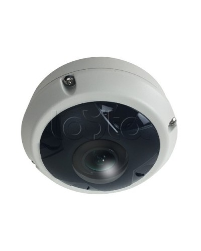 IP-камера видеонаблюдения купольная EverFocus ACE-KU89F в Находке IP-камеры Pintop.ru