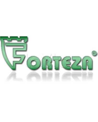 Плата сменная Forteza Плата БГр-4 в Находке Устройства защиты операционных процессоров (ОПС) Pintop.ru