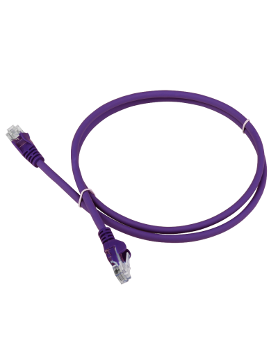Патч-корд LANMASTER LSZH UTP кат.5e, 0.3 м, фиолетовый LANMASTER LAN-PC45/U5E-0.3-VI в Находке Патчкорды (медные) Pintop.ru